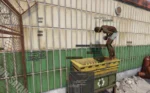 arcane-rust-cheats-4