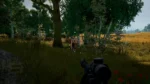 arcane-squad-cheats-4